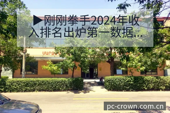 ▶刚刚拳手2024年收入排名出炉第一数据对比与趋势观察 - 皇冠体育APP