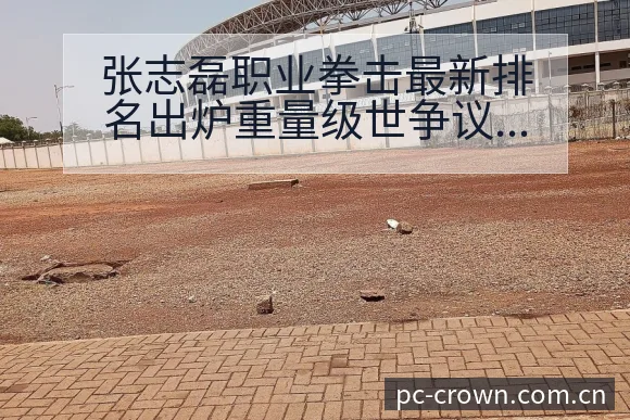 张志磊职业拳击最新排名出炉重量级世争议焦点与舆论观察签表 - 皇冠体育APP
